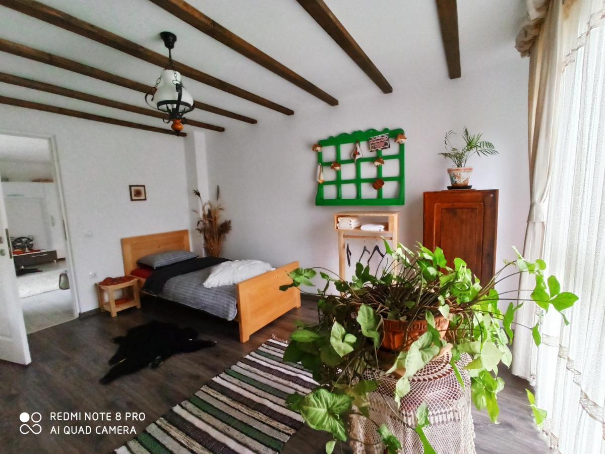 Casa Lucia Hotel Damuc Kültér fotó