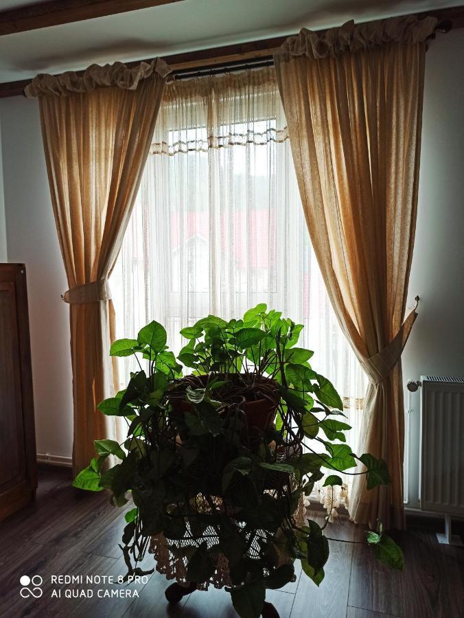 Casa Lucia Hotel Damuc Kültér fotó
