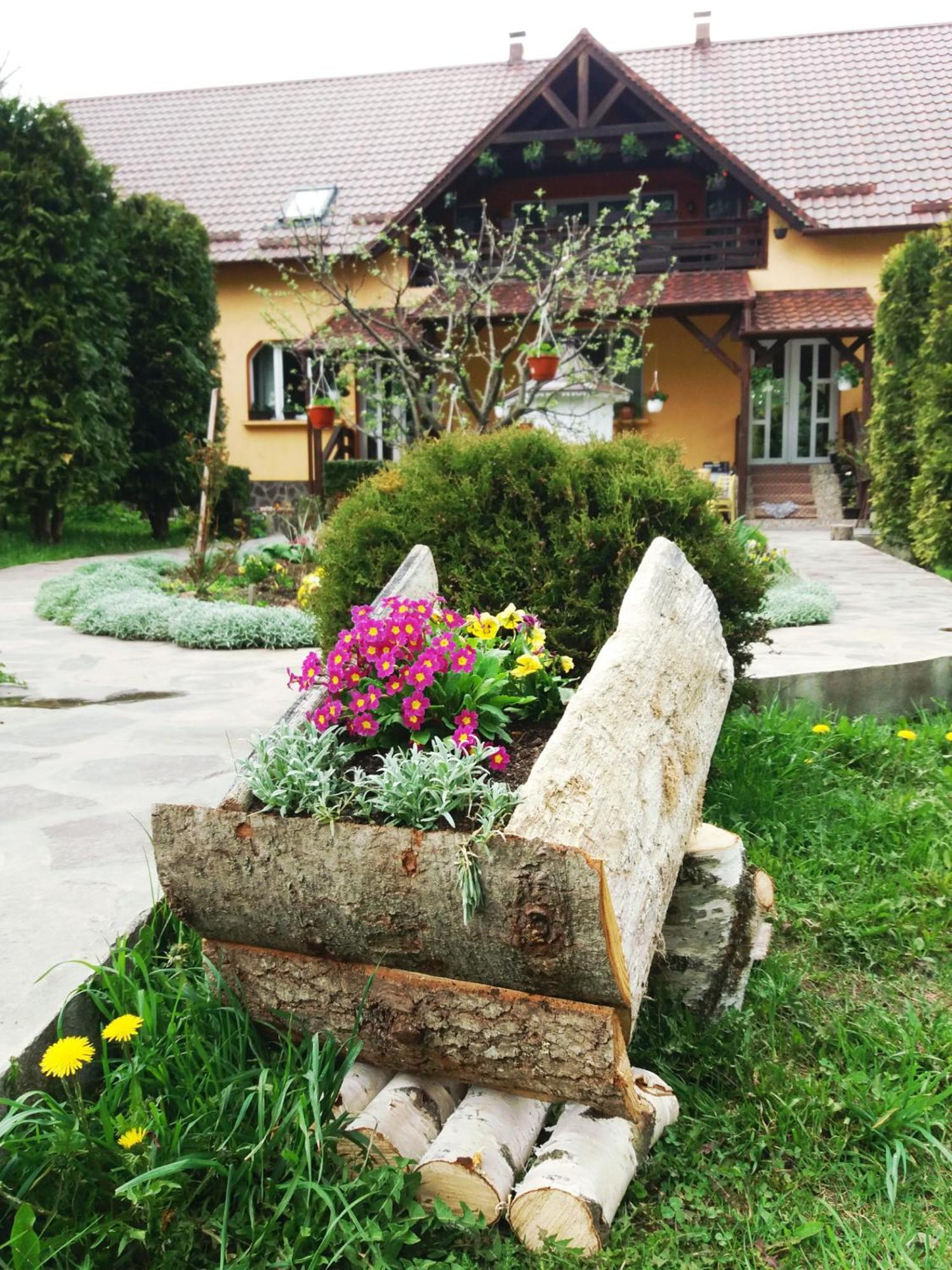 Casa Lucia Hotel Damuc Kültér fotó